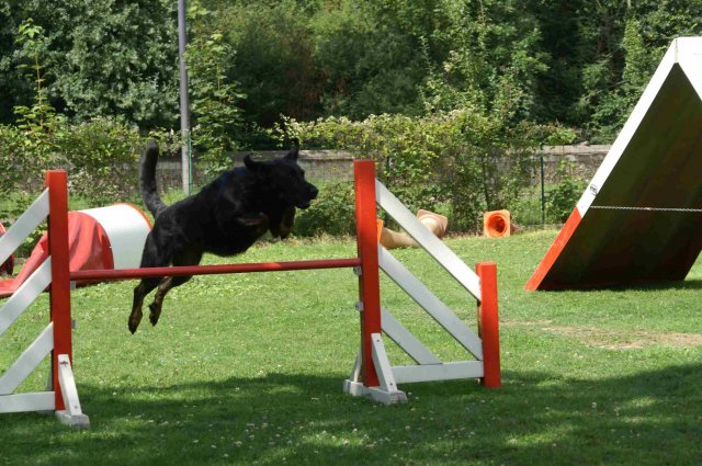 agility 2011-07-24